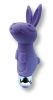 Ramsey Rabbit Vibrator